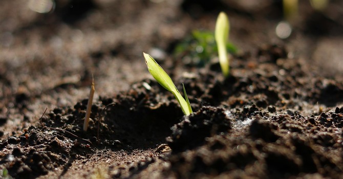 Starting a New Chapter Can Feel Scary — And That’s Normal