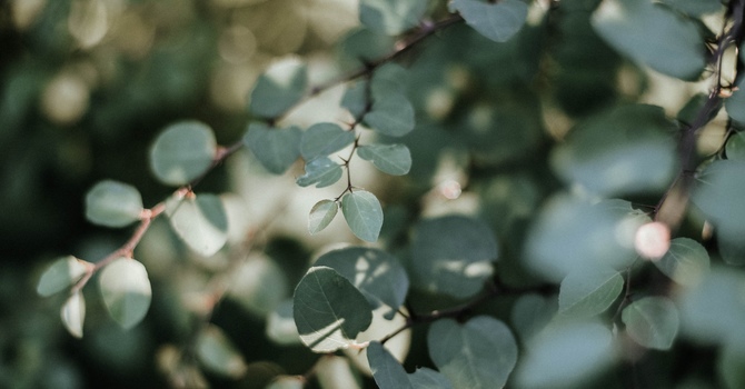 Embracing Yourself Fully: The Power of Self-Acceptance Therapy image